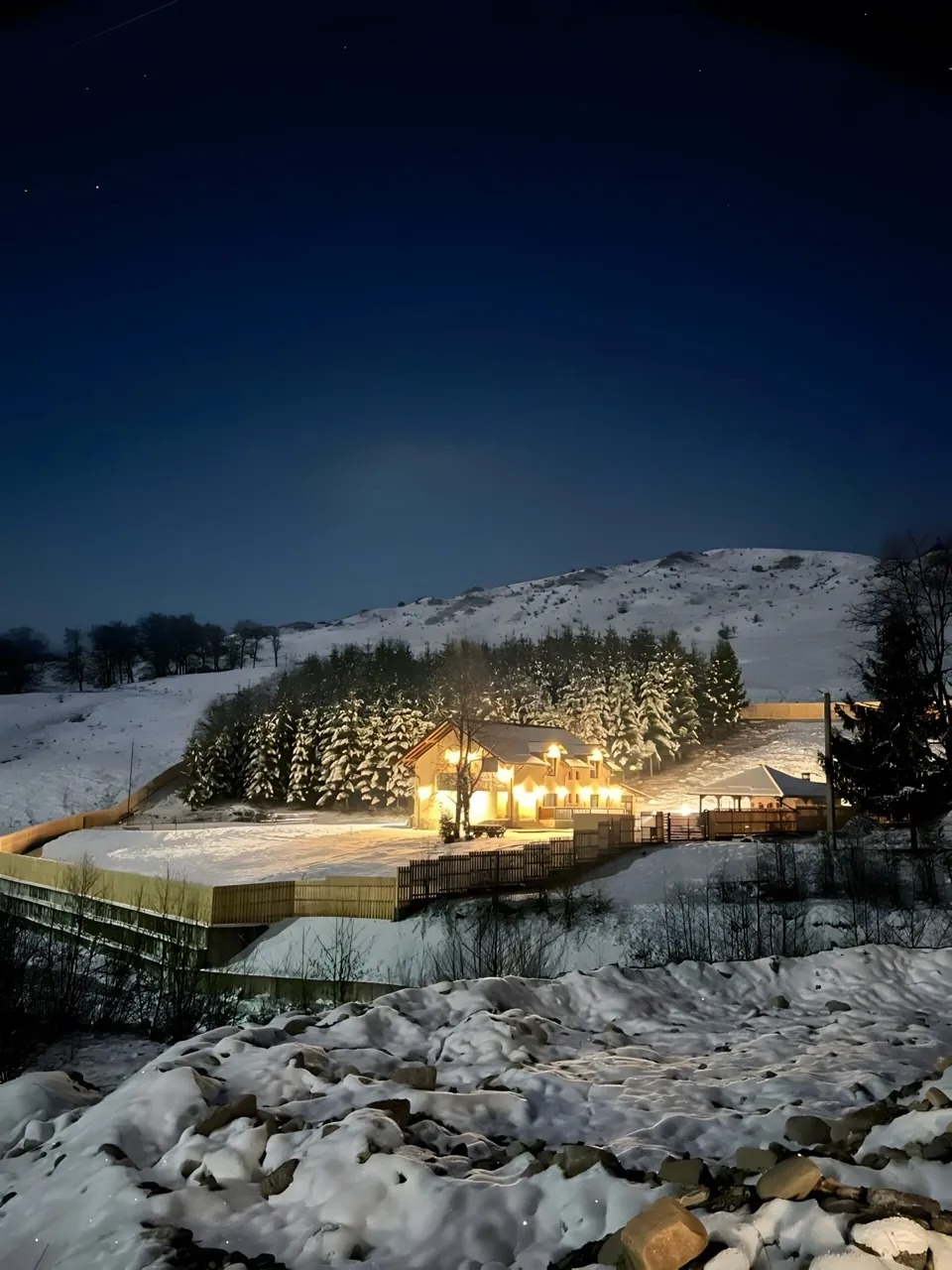 Vila iarna, înconjurată de brazi înzăpeziți