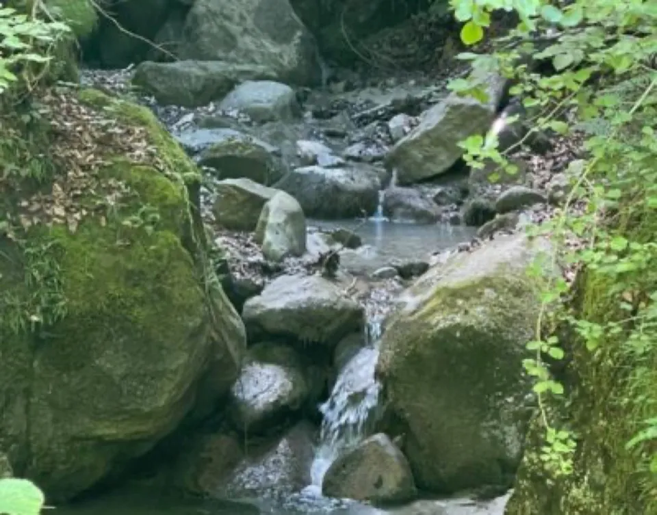 Râul de munte de la marginea proprietății